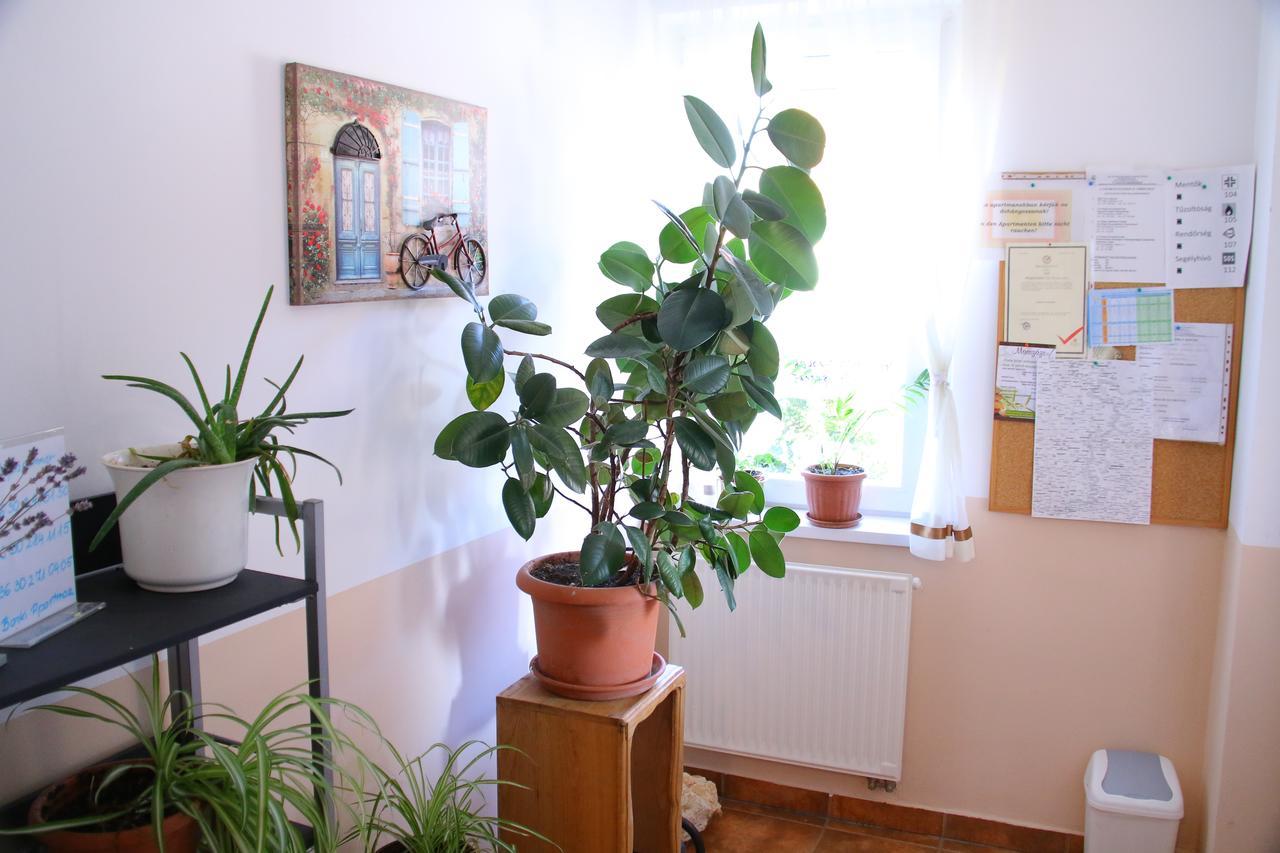 Barki Apartman Apartman Bük Kültér fotó